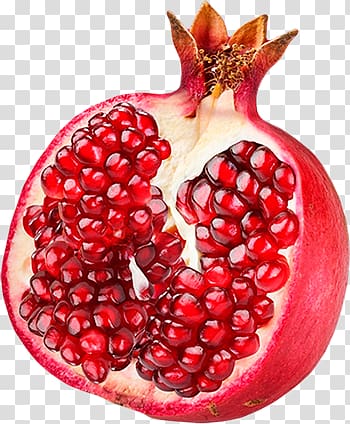 Pomegranate transparent background PNG clipart