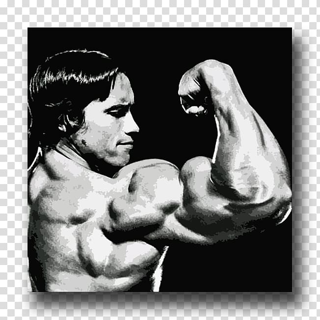 Arnold Schwarzenegger Arm Bodybuilding Biceps Muscle, arnold schwarzenegger transparent background PNG clipart