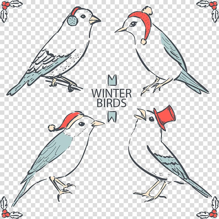 Finch Bird Drawing Feather, Hand-painted birds winter transparent background PNG clipart
