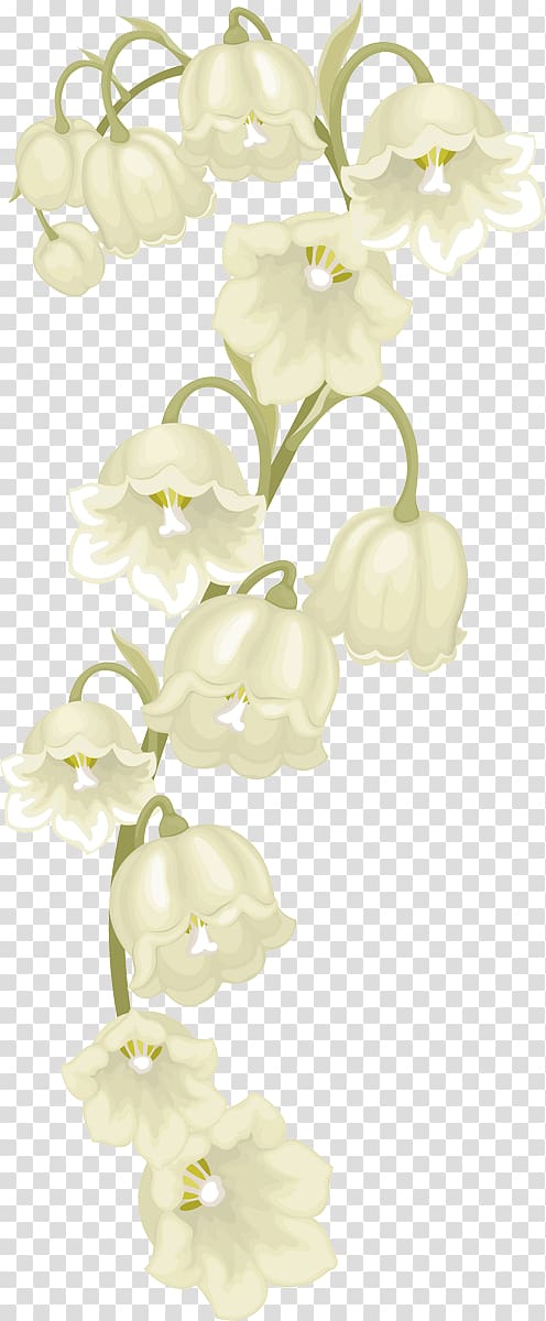 Moth orchids Floral design Cut flowers Dendrobium, flower transparent background PNG clipart