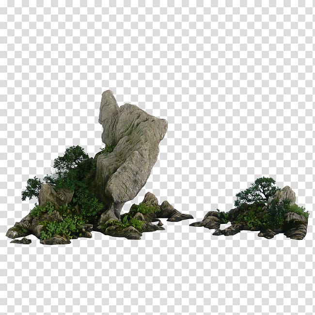 green leafed plant, Garden u5eadu77f3 Rock Landscape architecture, Craggy rocks transparent background PNG clipart