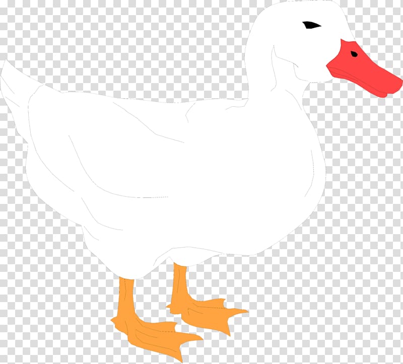 American Pekin Duck Mallard , Duck White transparent background PNG clipart