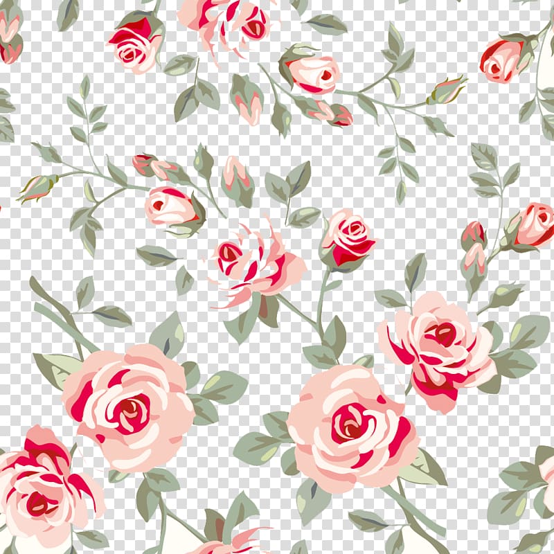 Rose Floral Background Images