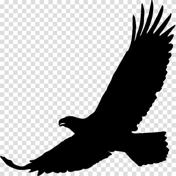 Art Drawing, black eagle transparent background PNG clipart