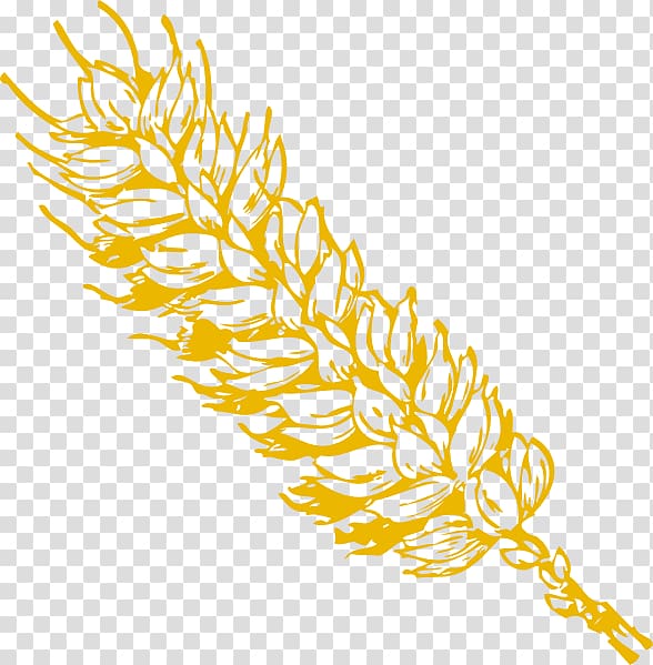 yellow leaf illustration, Oryza sativa Cdr , Padi transparent background PNG clipart