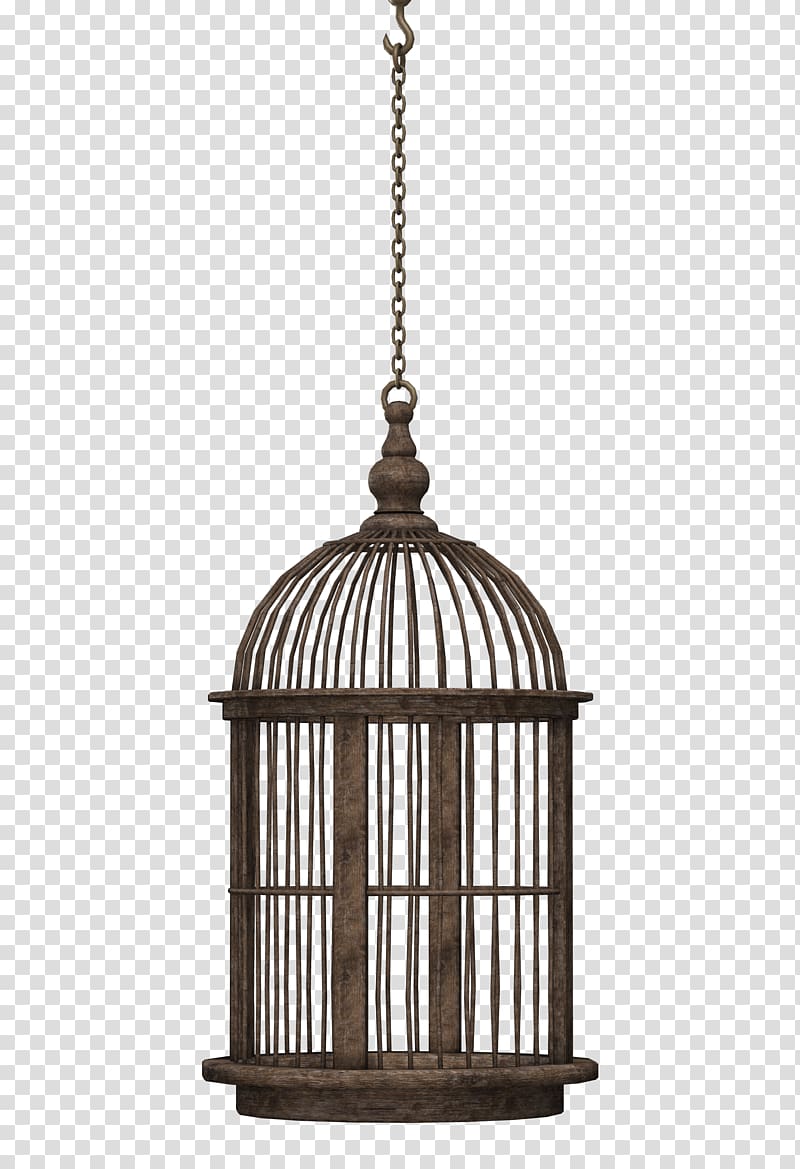 Cage transparent background PNG clipart