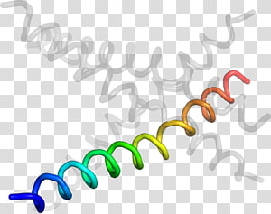 Line , design transparent background PNG clipart thumbnail