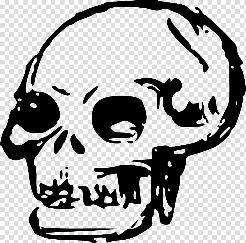 Human skull symbolism Human skeleton , skull transparent background PNG clipart