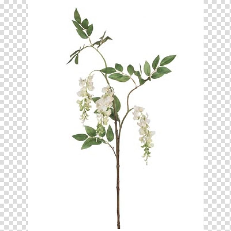 Flower Branch Twig Plant stem Tree, wisteria transparent background PNG clipart