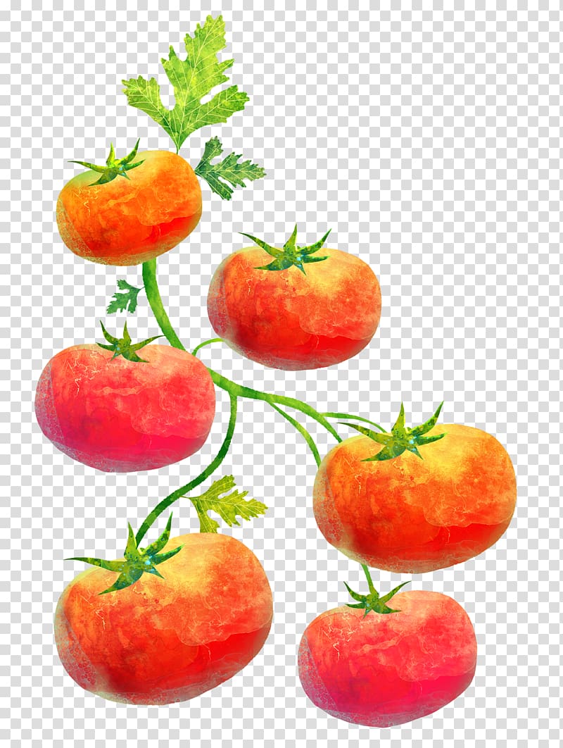 Cartoon Poster Illustration, Painting tomatoes transparent background PNG clipart