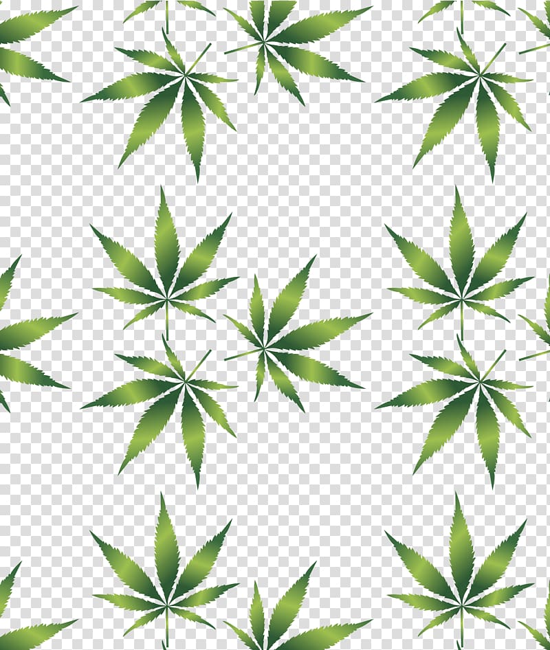 Medical cannabis Leaf Hemp Drug, skunk transparent background PNG clipart