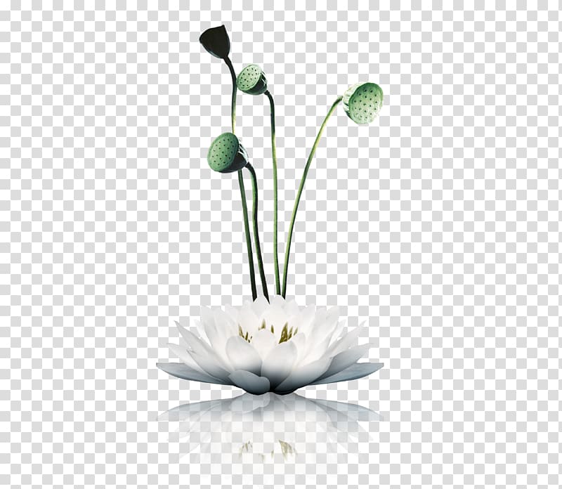 Zen Poster Chinoiserie Shan shui Buddhist meditation, lotus transparent background PNG clipart