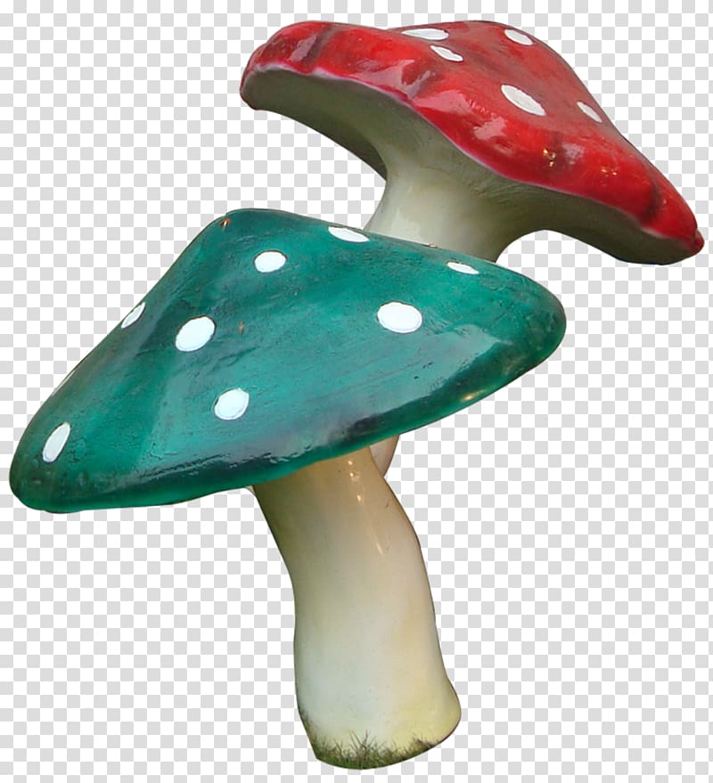 Mushroom, mushroom transparent background PNG clipart