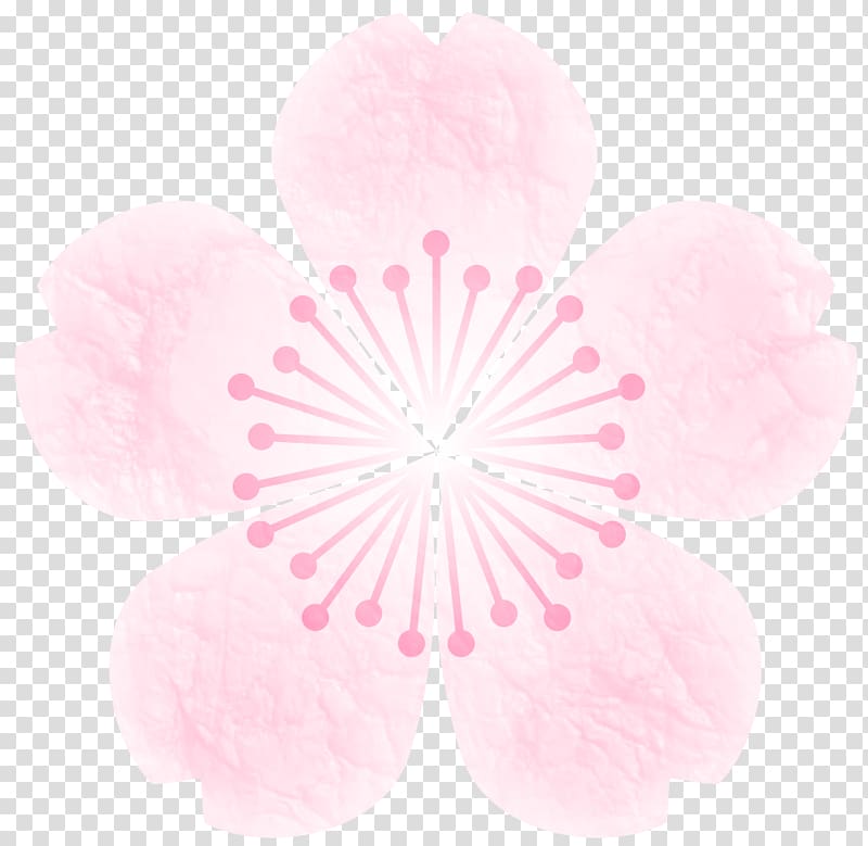 Sakuramochi Cherry blossom Encapsulated PostScript Material Hanami, spring material transparent background PNG clipart