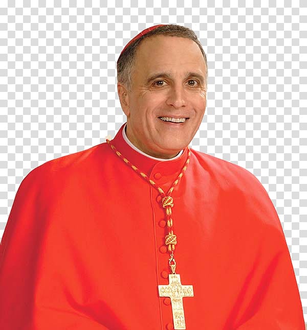 Roman Catholic Archdiocese of Galveston–Houston Daniel DiNardo Cardinal Deacon Bishop, St Dominic Catholic Church transparent background PNG clipart