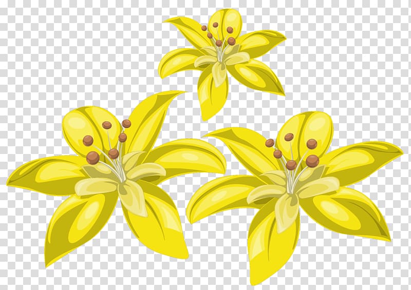 three yellow flowers, Flower Yellow , Three Yellow Flowers transparent background PNG clipart