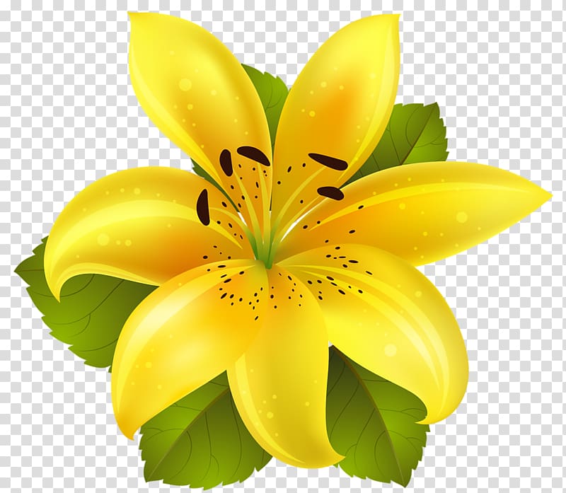 flower-flower-transparent-background-png-clipart-hiclipart