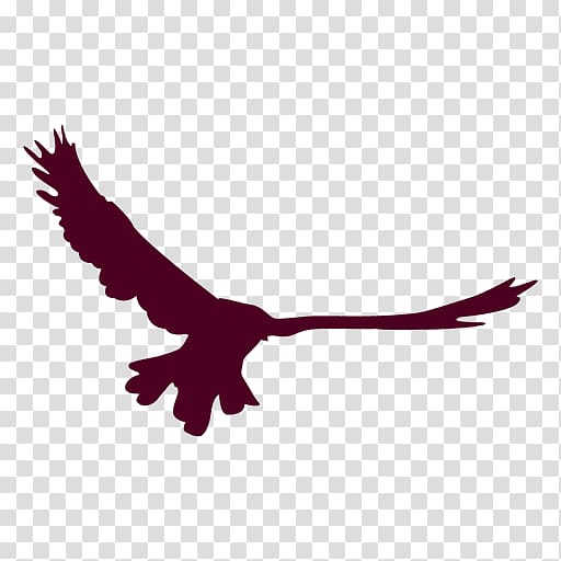 Bird Flight Eagle Wing , Bird transparent background PNG clipart