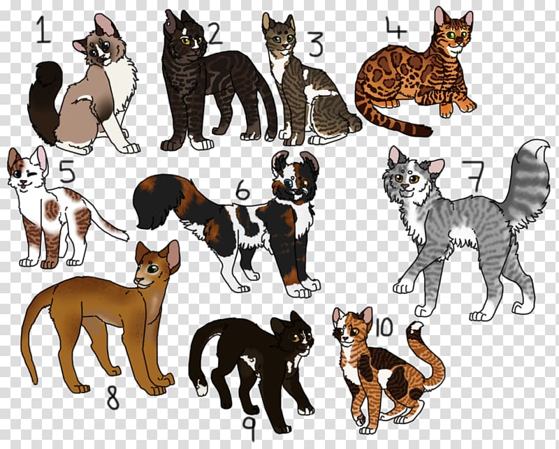 Cat Tiger Dog breed Mammal, american curl calico transparent background PNG clipart