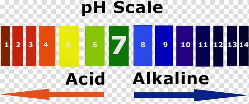 pH Alkalinity Acid–base reaction, others transparent background PNG clipart