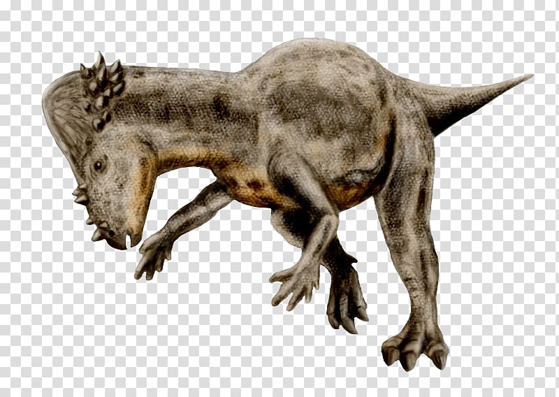 Pachycephalosaurus Cretaceous–Paleogene extinction event Stegosaurus Tyrannosaurus Dinosaur, dinosaur transparent background PNG clipart