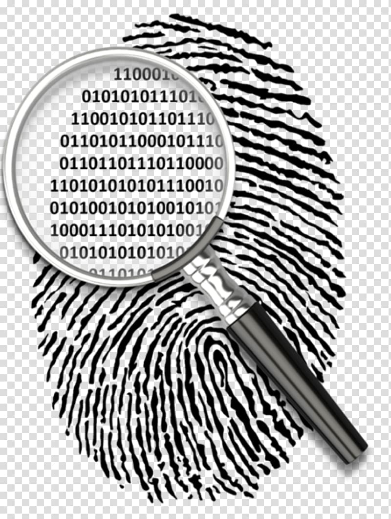 Automated fingerprint identification Biometrics Fingerabdruckscanner, proceso transparent background PNG clipart