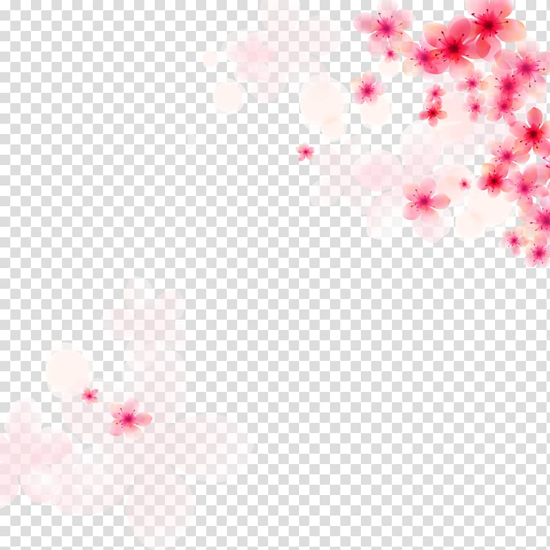 white, and pink flowers illustration, Cherry blossom, Creative pink cherry blossoms transparent background PNG clipart