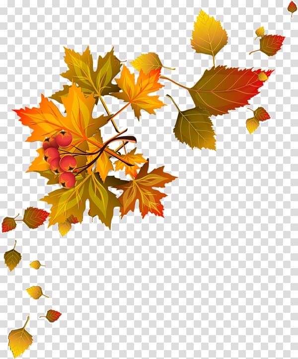 Paper Leaf , falling flowers transparent background PNG clipart