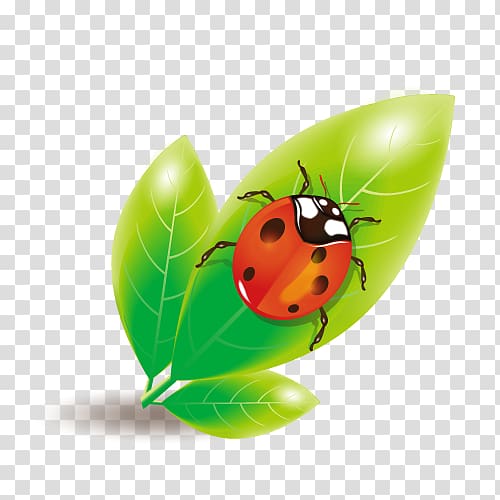 Ladybird Euclidean , material Ladybug green leaves transparent background PNG clipart