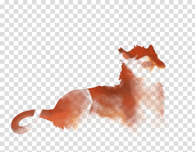 Lion Felidae Rosette Mane Fur, lion transparent background PNG clipart