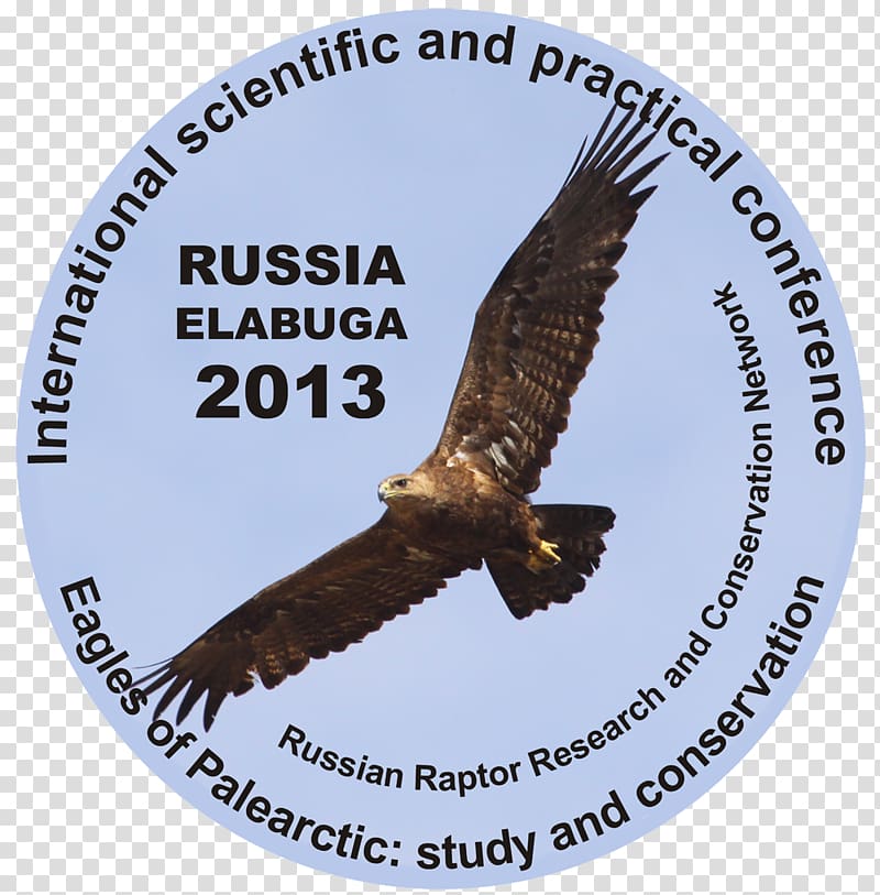 Golden eagle Palearctic realm Falconry Altai Krai, eagle transparent background PNG clipart