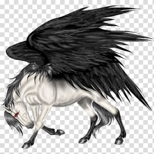 Pegasus Flying horses Howrse Wing, pegasus transparent background PNG clipart