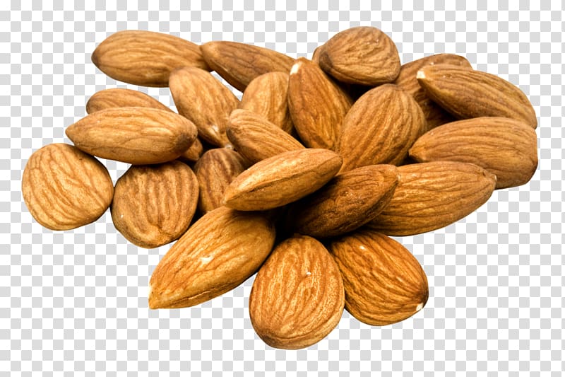 almonds , Almond Nut Apricot kernel, Almond transparent background PNG clipart