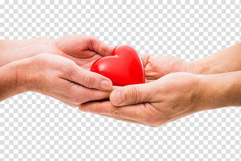 Organ donation Organ transplantation Kidney transplantation, heart transparent background PNG clipart