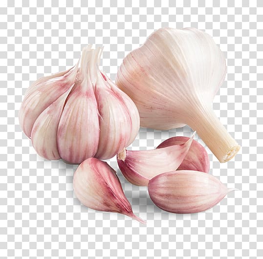 Garlic Shallot Vegetable Chives Human papillomavirus infection, garlic transparent background PNG clipart
