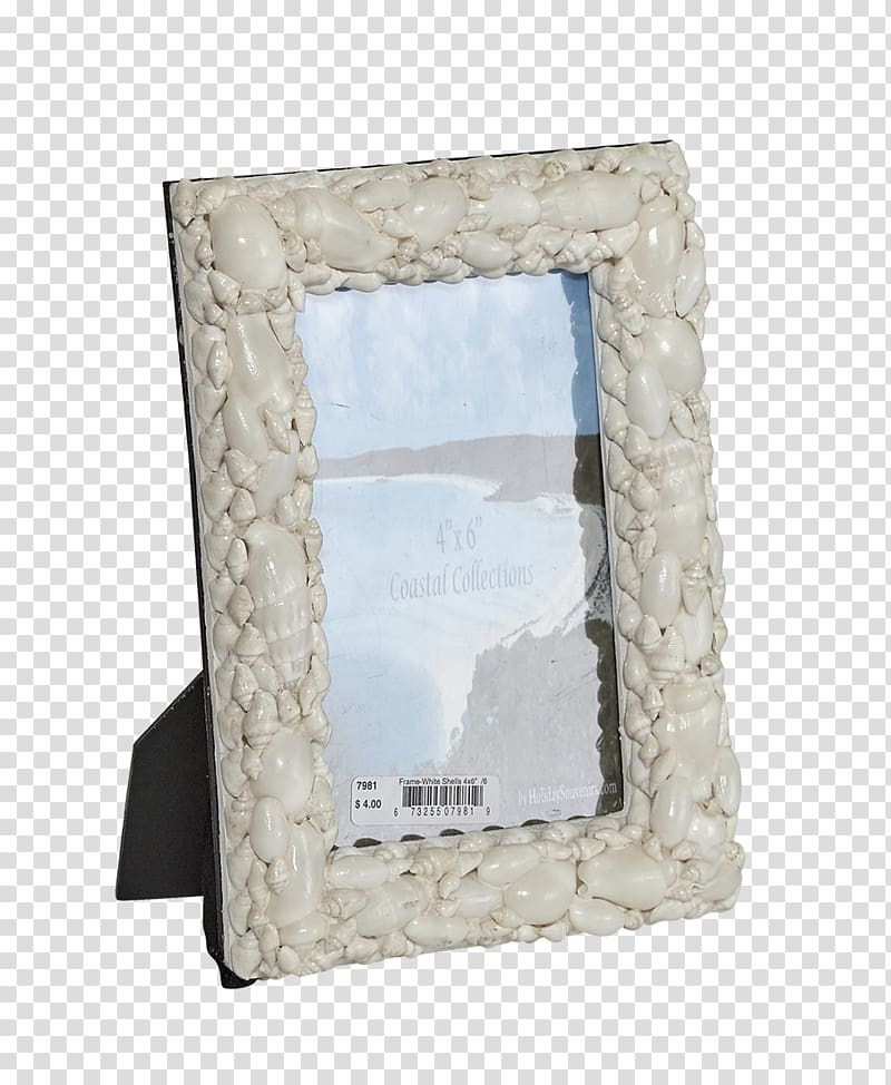 Frames Seashell Window Light, seashell transparent background PNG clipart