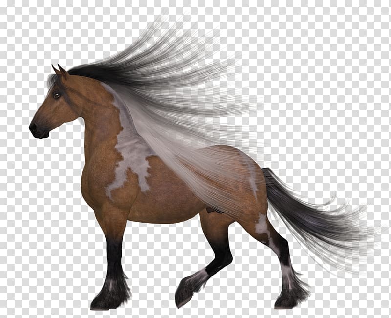 Mane Mustang Stallion Gypsy horse Shire horse, mustang transparent background PNG clipart