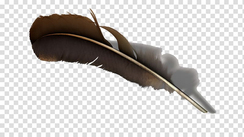 Feather TurboSquid 3D computer graphics, A light brown feather transparent background PNG clipart