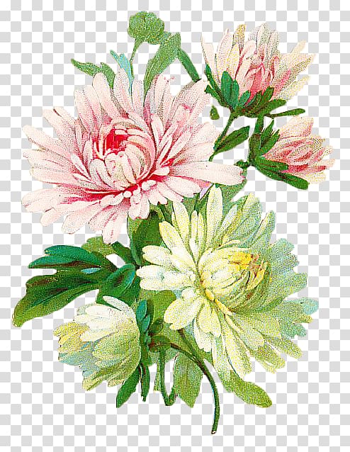 pink and green flowers illustration, Flower Chrysanthemum Abziehtattoo Blue, Vintage floral botanical transparent background PNG clipart