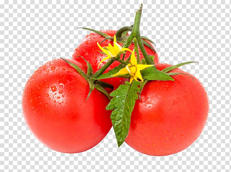 Tomato Leaf Vegetable White, Red tomatoes transparent background PNG clipart