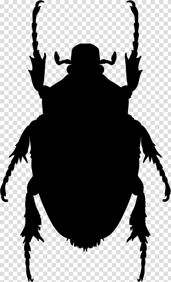 Insect Shape Mosquito Brown marmorated stink bug Pest, insect transparent background PNG clipart