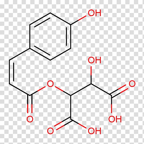 Benzenesulfonic acid Carboxylic acid, others transparent background PNG clipart