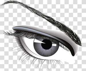 Eye , Eye transparent background PNG clipart thumbnail