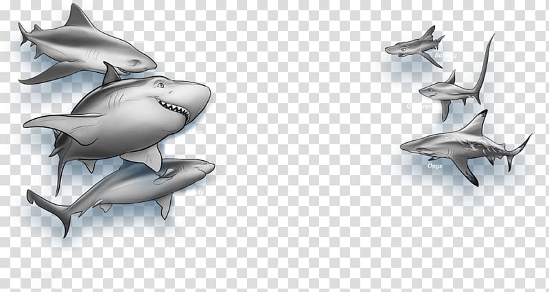 Shark Wars Kingdom of the Deep The Last Emprex Enemy of Oceans, shark transparent background PNG clipart