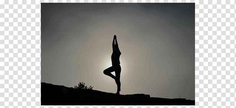 Work–life balance Job PageGroup Resource Leisure, yoga fox transparent background PNG clipart