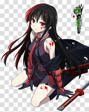 Divine Gate, Akame Ga Kill, Otaku Anime, Manga Comics, - Wiki - Free  Transparent PNG Clipart Images Download