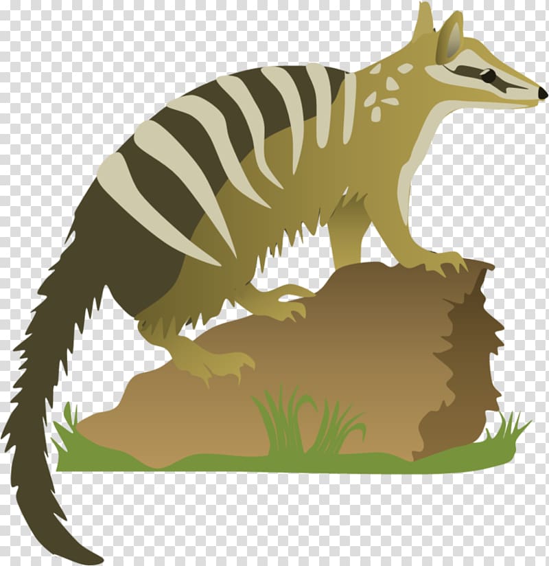 Red fox Numbat Marsupial , Numbat transparent background PNG clipart