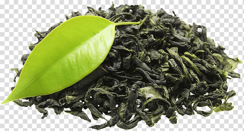 Green tea Organic food Tea plant Energy drink, green tea transparent background PNG clipart