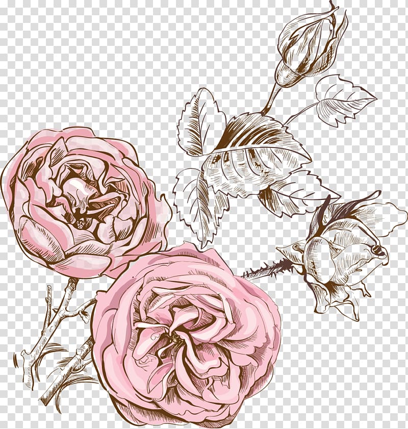 pink rose flowers illustration, Floral design Drawing Watercolor painting, Fresh watercolor painted floral decoration transparent background PNG clipart