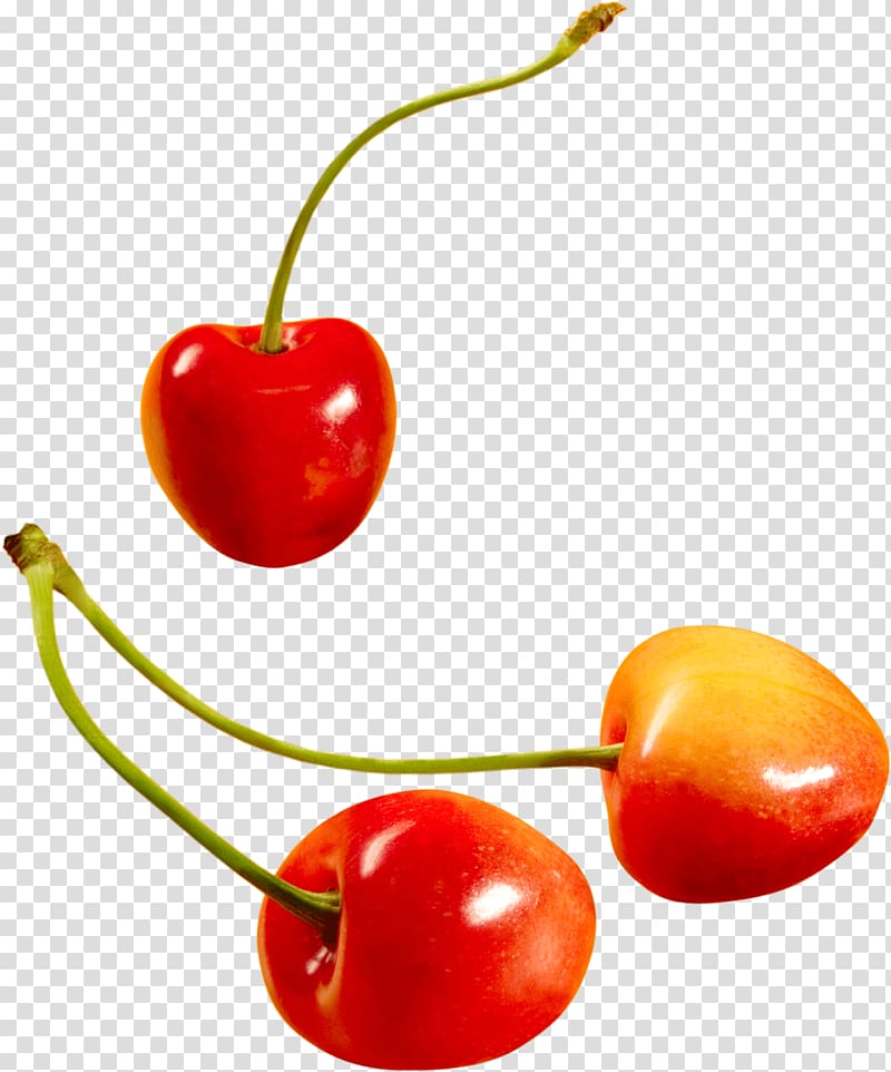 Sweet Cherry Cerasus Icon, Cherry transparent background PNG clipart